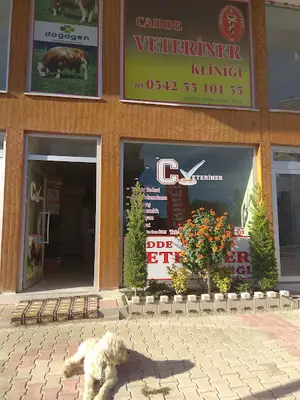 Cadde Veteriner Klinigi