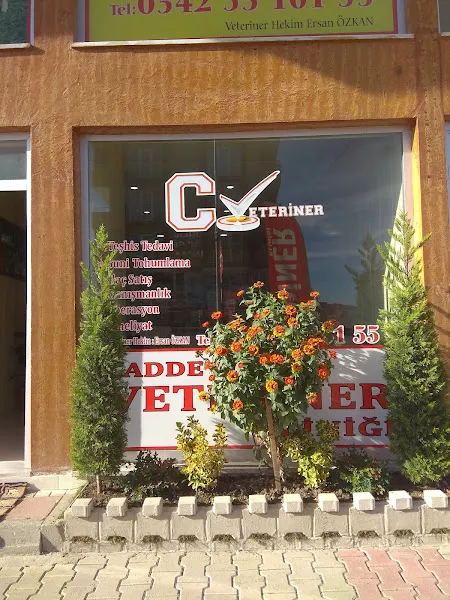 Cadde Veteriner Klinigi foto 2