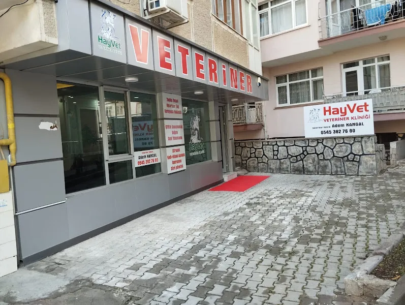 HayVet Veteriner Kliniği foto 1