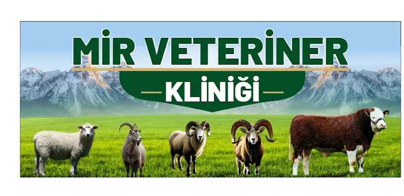 Mir Veteriner Kliniği foto 2
