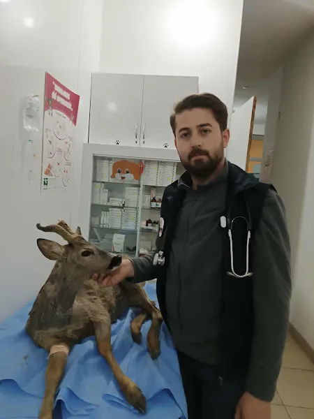 Özel Akkuş Veteriner Kliniği foto 2