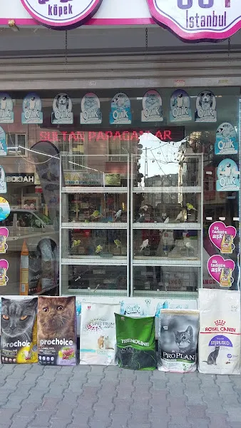 Güneşli petshop Bağcılar foto 2