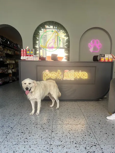 PetNova Veteriner Kliniği foto 2