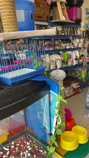 Çerkezköy Gizem Petshop foto 2