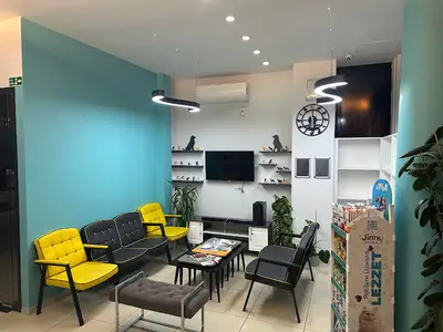 Vet A Med Veteriner Kliniği