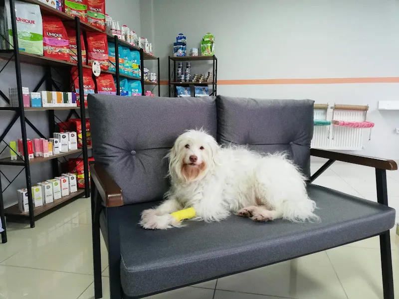 PetAmica Atakum Veteriner Kliniği- Samsun foto 2