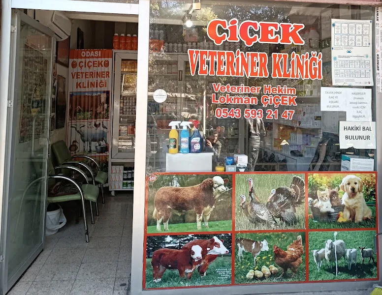 ÇİÇEK VETERİNER KLİNİĞİ foto 1