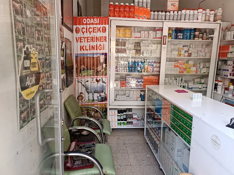ÇİÇEK VETERİNER KLİNİĞİ foto 2