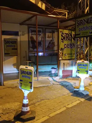 Şirinler petshop Hasan Şirin