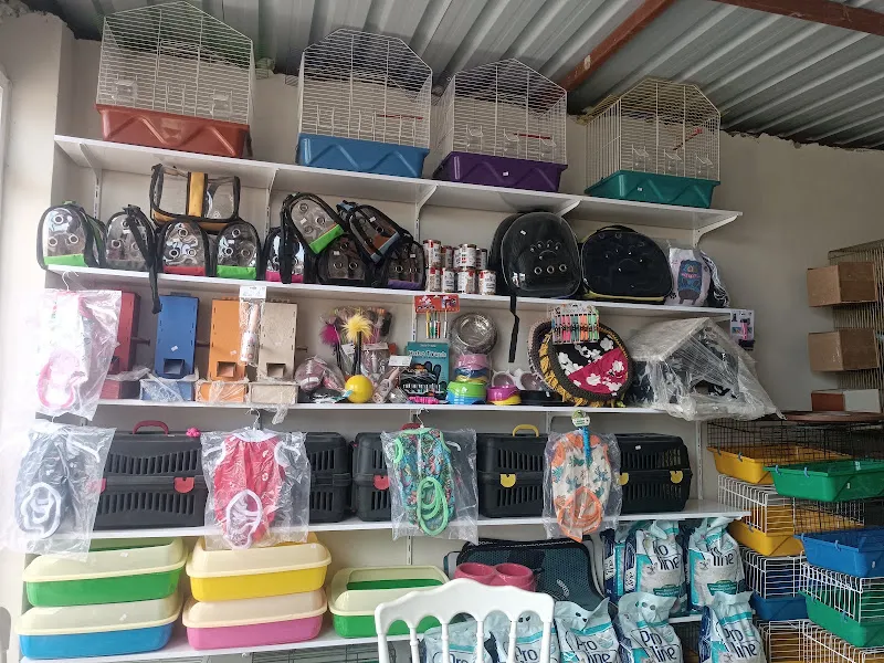 Şirinler petshop Hasan Şirin foto 2
