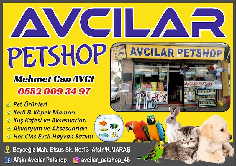 Avcılar Petshop foto 2