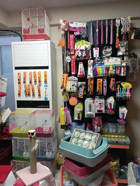 KUĞU PETSHOP KARABÜK foto 2