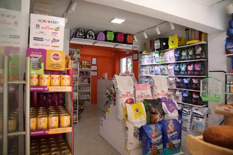 Çitos Pet Shop foto 2