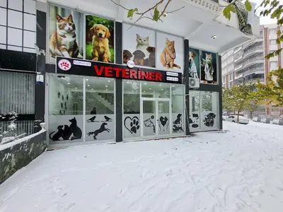 Floryavet Veteriner Kliniği