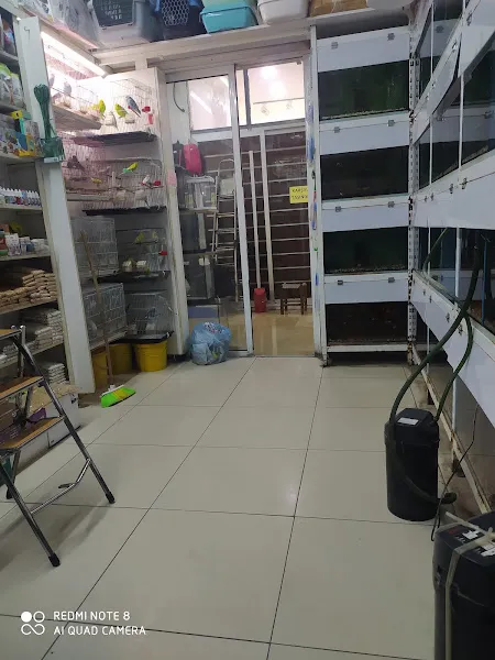 Uğur Akvaryum Ve Kuş Galerisi foto 2