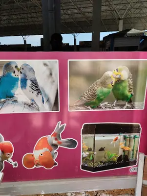 Besni Pet Shop