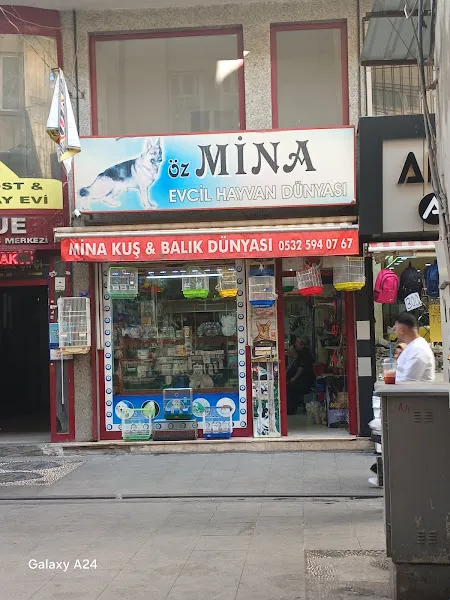 MİRA Petshop&Akvaryum foto 2