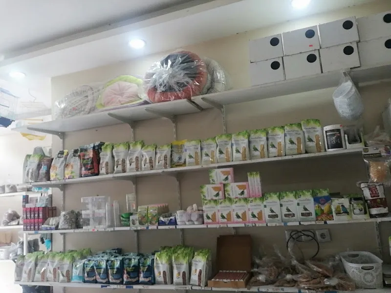 Gülüm Petshop foto 2