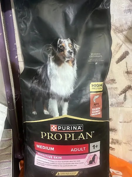 Fındık petshop foto 2