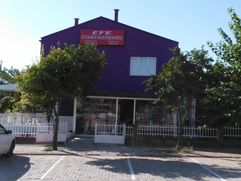 EFE VETERİNER KLİNİĞİ foto 2