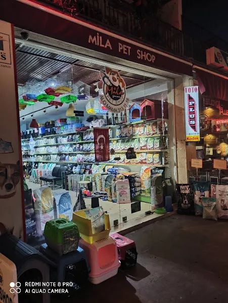 Mila Petshop Alo Mama! foto 1