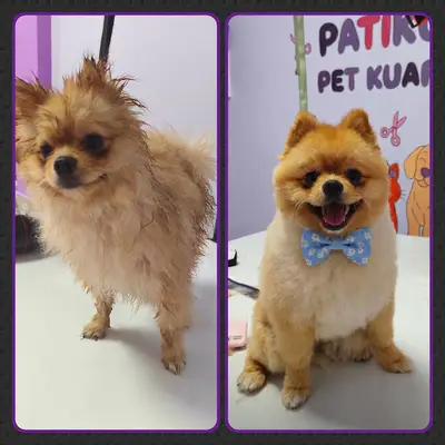 PATİKÜR PET KUAFÖR