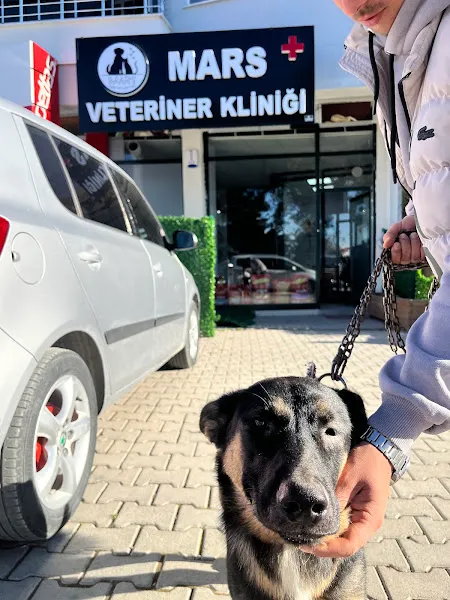 Malatya Mars Veteriner Kliniği foto 2