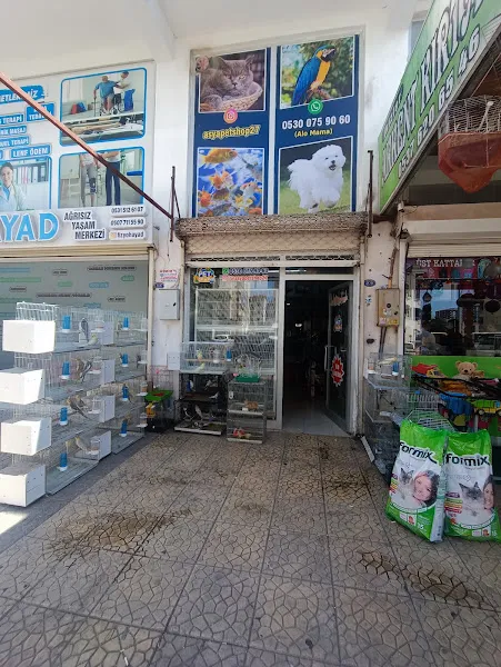 ASYA PETSHOP GAZİANTEP foto 1