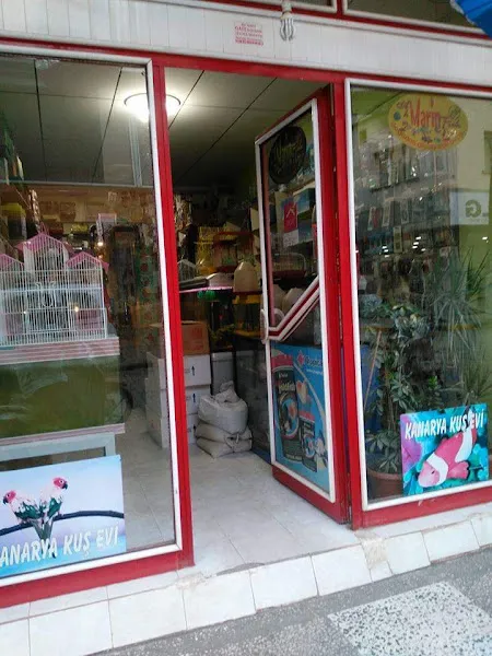 Kanarya Kuş ve Akvaryum Evi (Pet Shop) foto 2