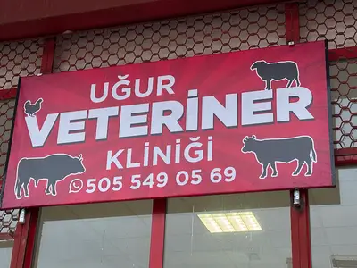Uğur veteriner kliniği