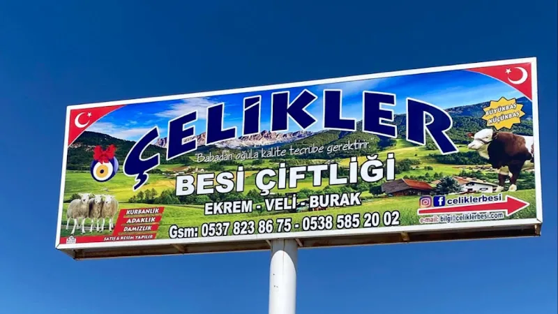 Veteriner Hekim Ayşe Çelik foto 1