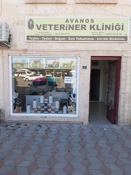 Avanos Veteriner Kliniği foto 1
