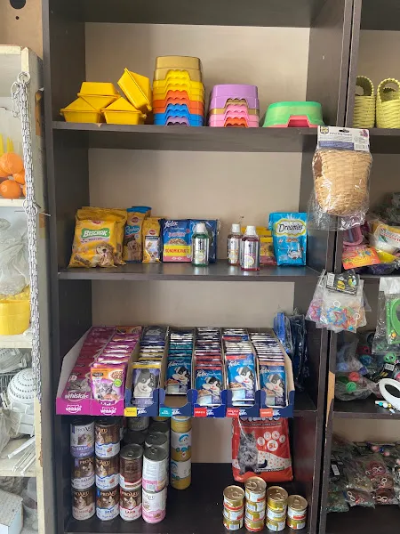 Kuşçu APO PETSHOP foto 1