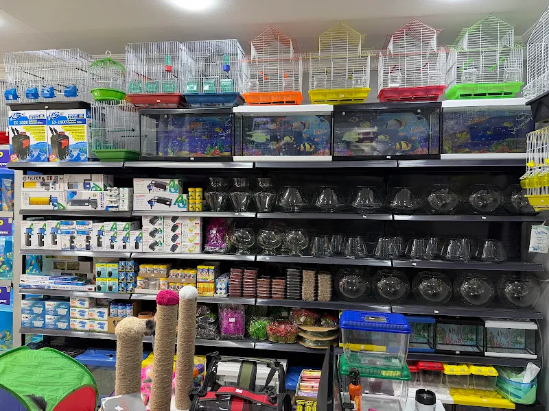 Nayman petshop foto 1