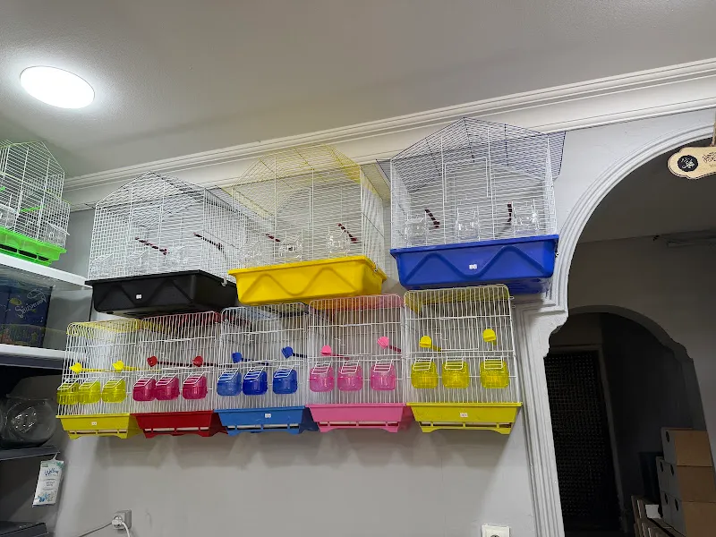 Nayman petshop foto 2