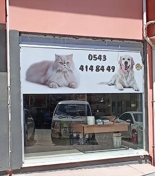 PATİ PETSHOP foto 2