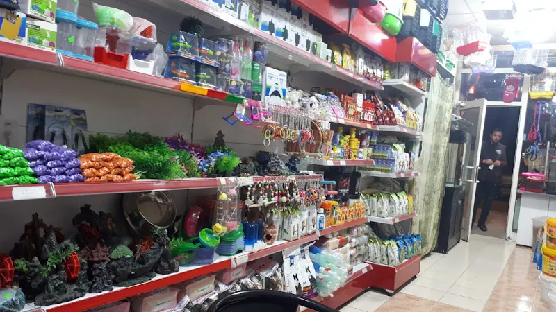 Guşçu Petshop foto 2