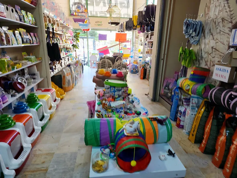 GÜNEÇ PETSHOP foto 2