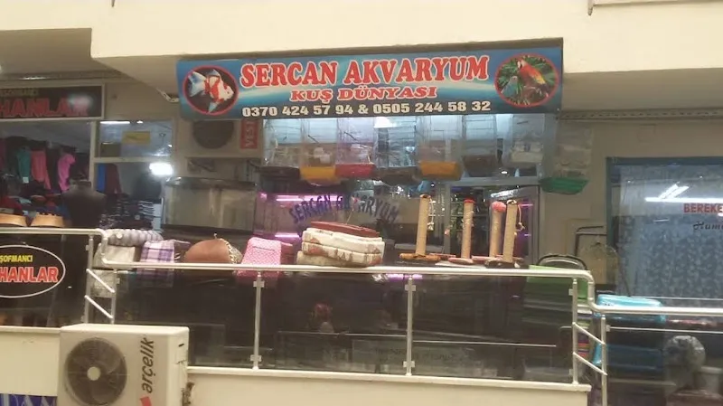 Sercan Akvaryum foto 2