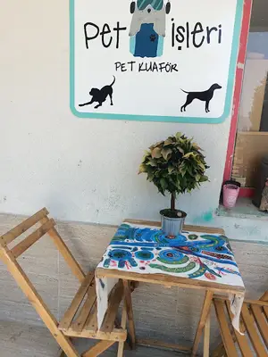 Pet işleri pet kuaför fotoğrafı