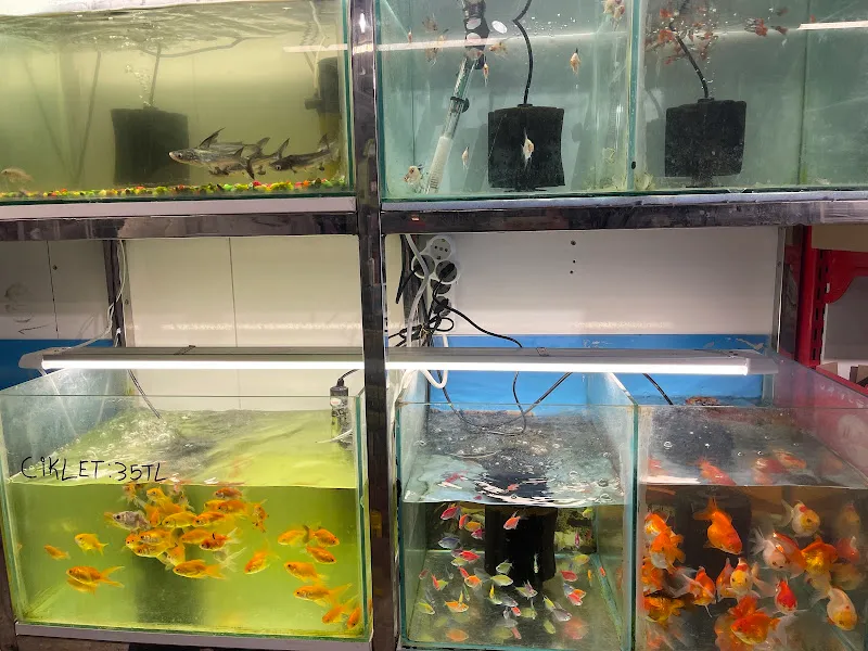PETSHOP CENTER foto 2