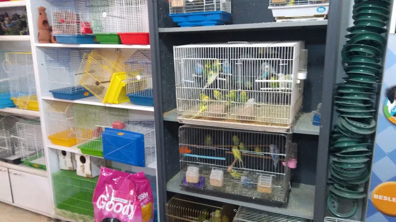 Ardiçlar Av Bayi Pet Shop foto 2