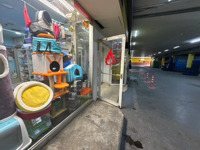 Ataköy ezgi petshop foto 1