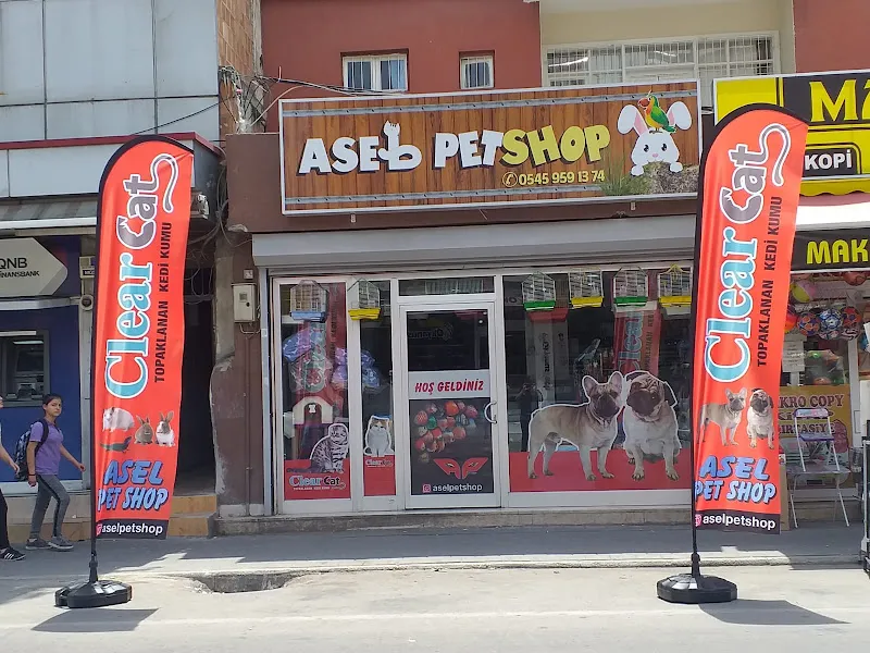 ASEL PETSHOP foto 1