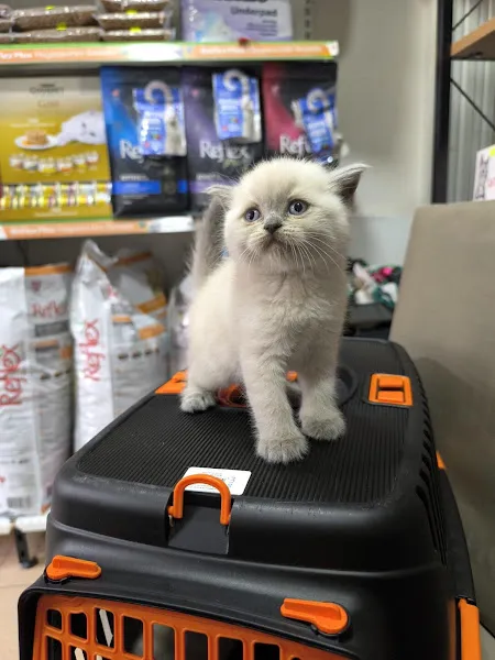 Empati petshop foto 2