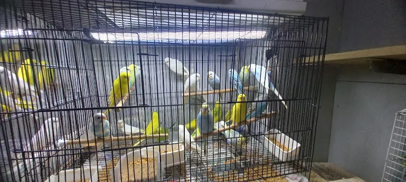 Fatih Pet Shop foto 2