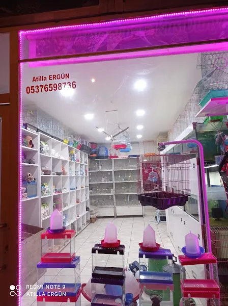 Elif petshop foto 1