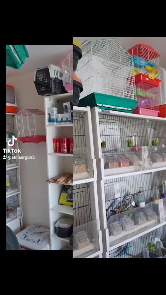 Elif petshop foto 2