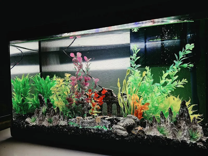 MARİNA PETSHOP foto 2