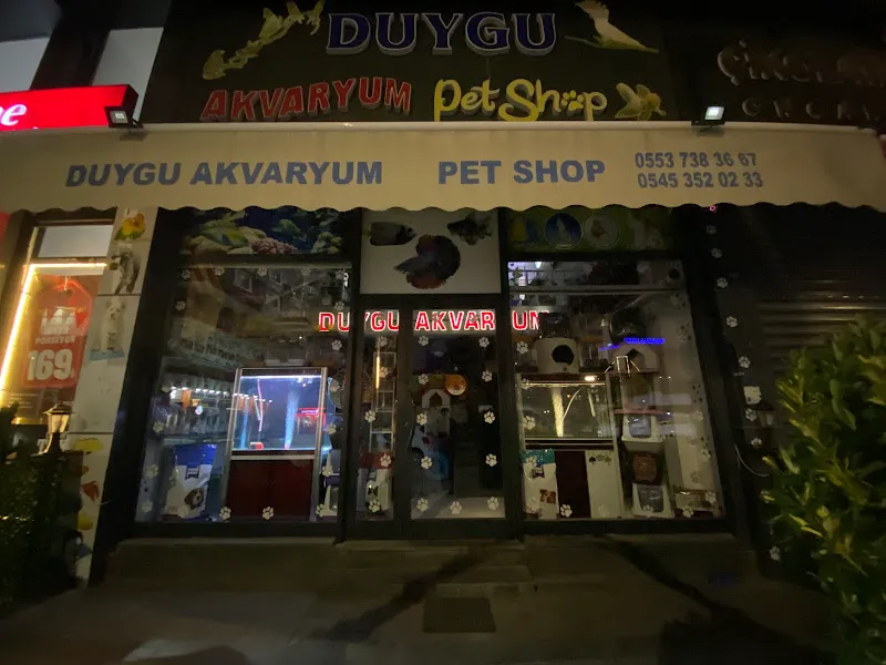 Duygu Akvaryum foto 1